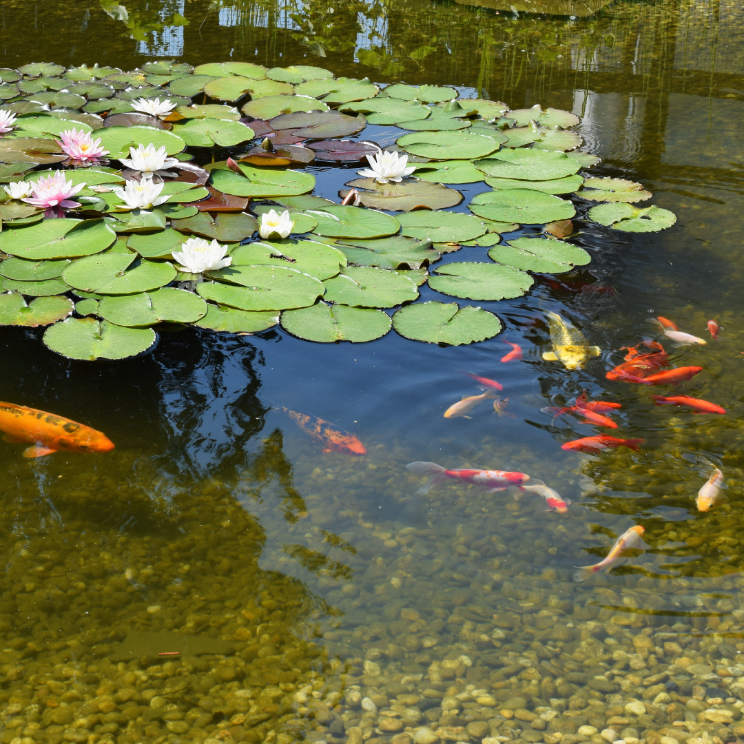 Split Core CT for Fish Pond Equipments
