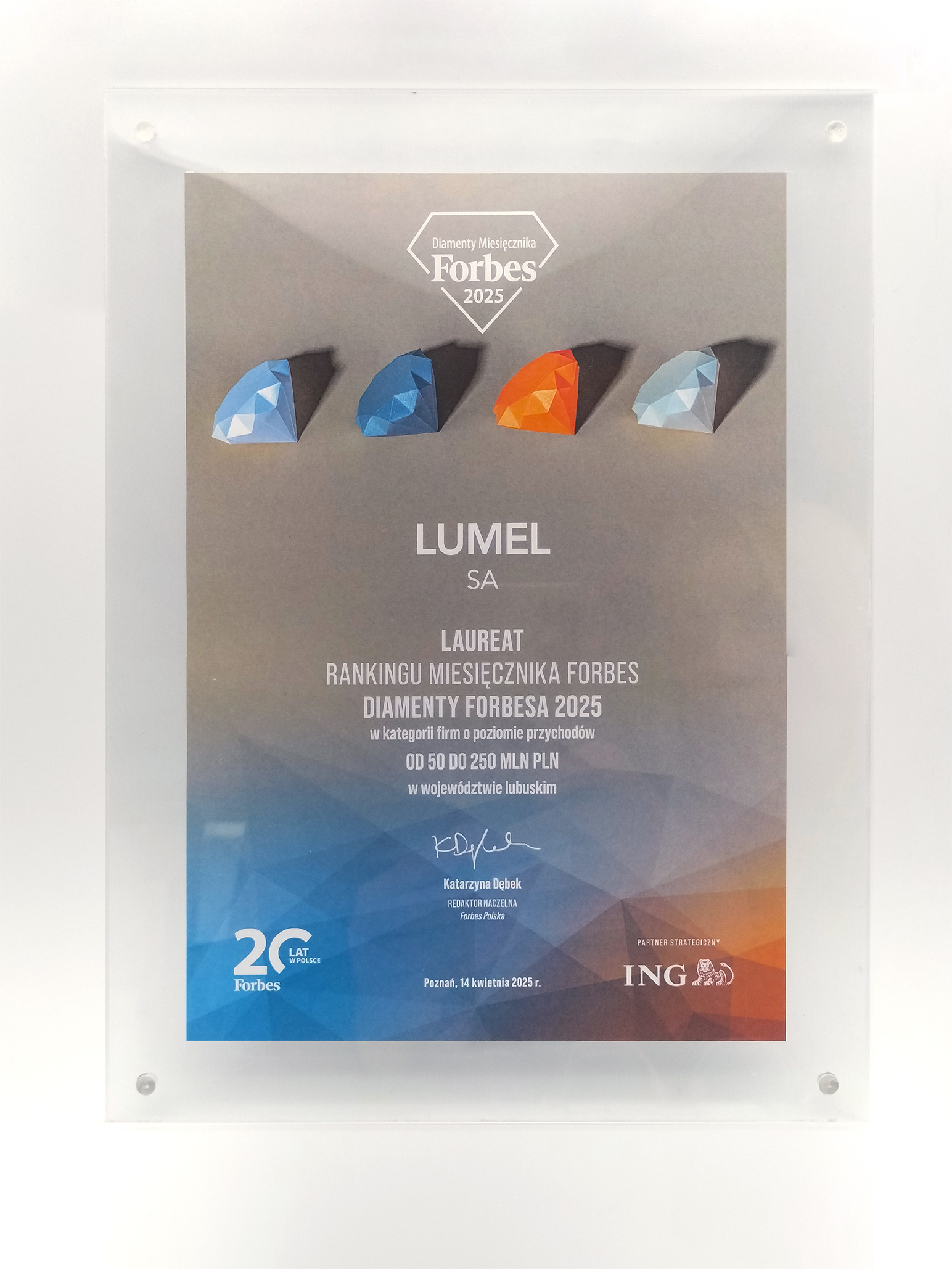 Lumel Shines Bright as a Forbes Diamonds 2025 Laureate!